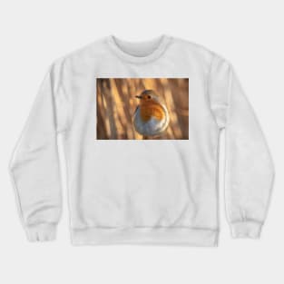 Robin dreams Crewneck Sweatshirt
